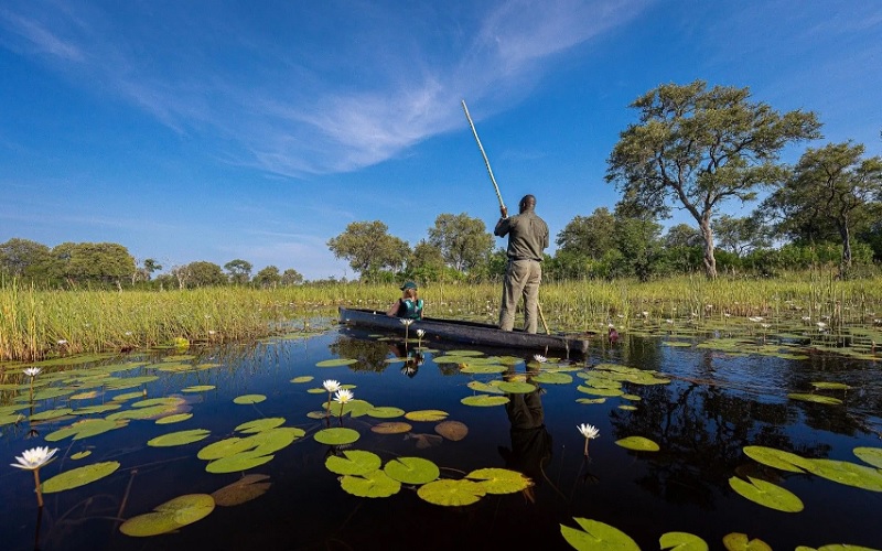 10 Day Chobe, Delta & Kalahari Safari Feline Lodges